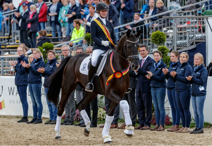 Sukcesy koni hanowerskich – Bundeschampionat Warendorf 2019